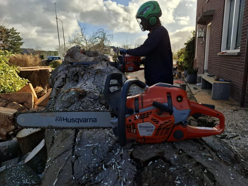 Re-green dienst Boomzorg
