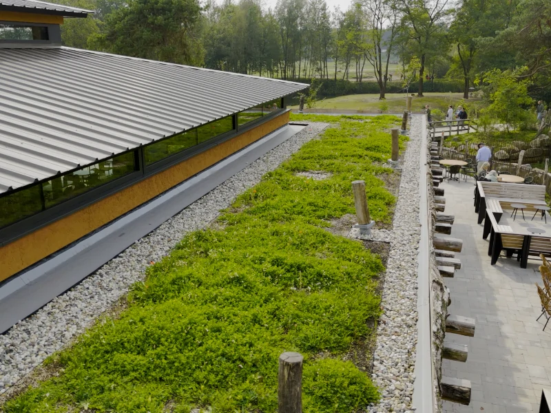 Project Beekse Bergen